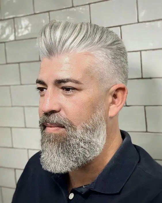 Silver Fox Beard Mastery: 15 Iconic Beard Styles for the Modern Mature ...