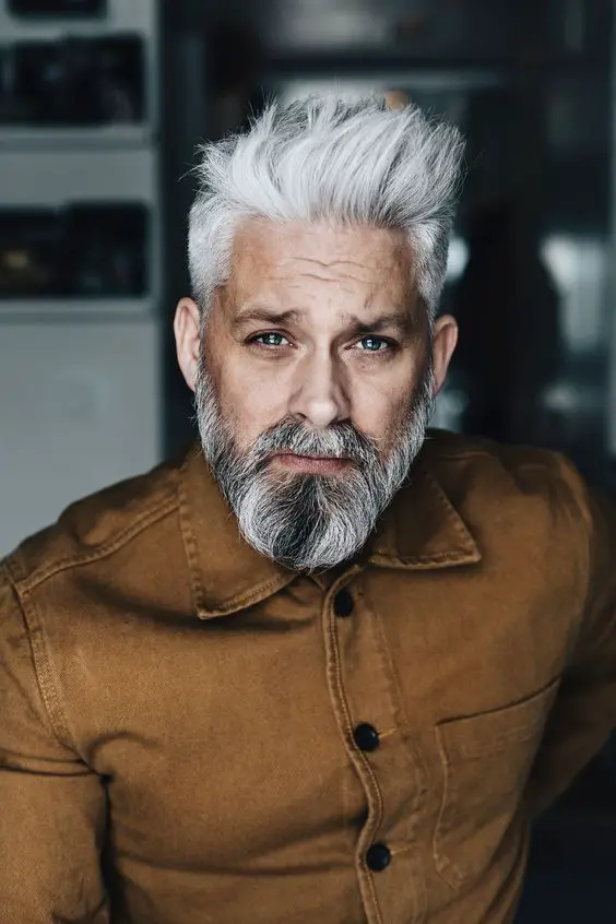 Silver Fox Beard Mastery: 15 Iconic Beard Styles for the Modern Mature ...