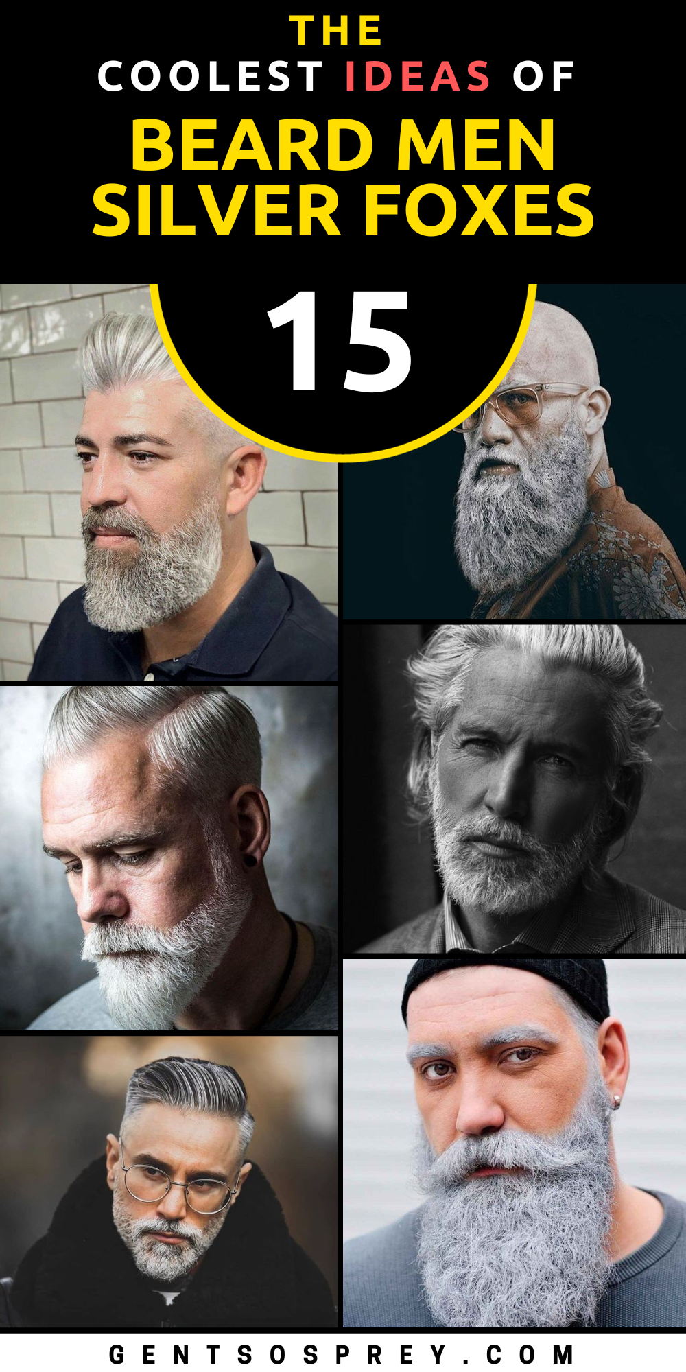 Silver Fox Beard Mastery: 15 Iconic Beard Styles for the Modern Mature ...