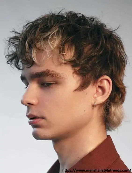 Discover 2024's Top Shag Hairstyles for Men: From Classic Layers to ...