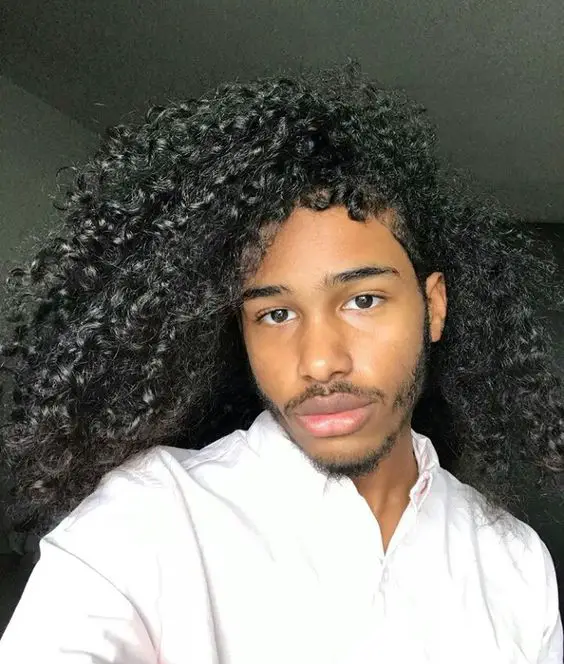 Top 19 Curly Afro Hairstyles for Black Men in 2024: Embrace Your ...